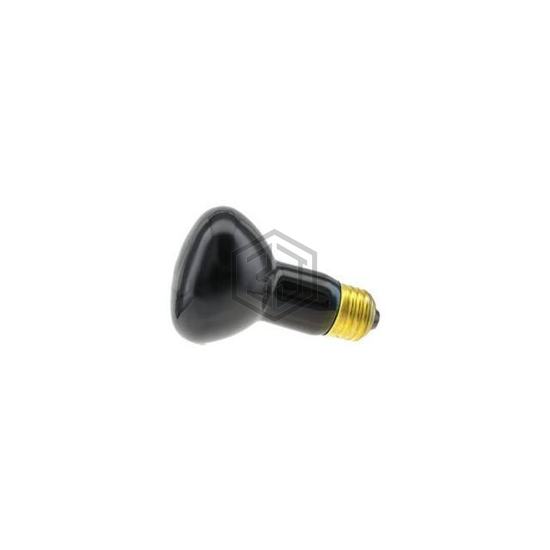 WW-EJ2Q-6 - Interlight - Lamps - Incandescents, Neons