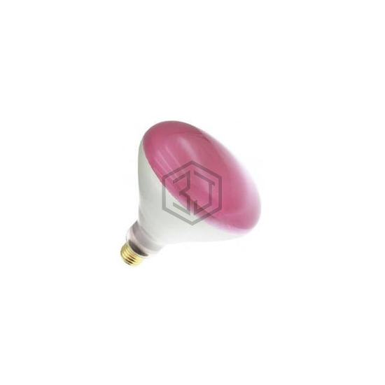 WX-EJ1S-9 - Interlight - Lamps - Incandescents, Neons