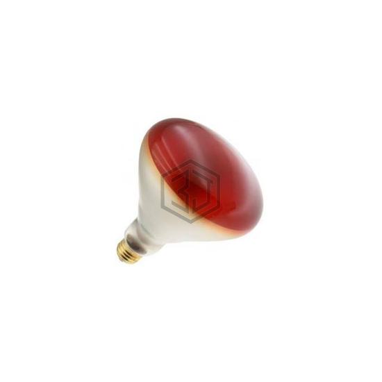WX-EE8K-3 - Interlight - Lamps - Incandescents, Neons