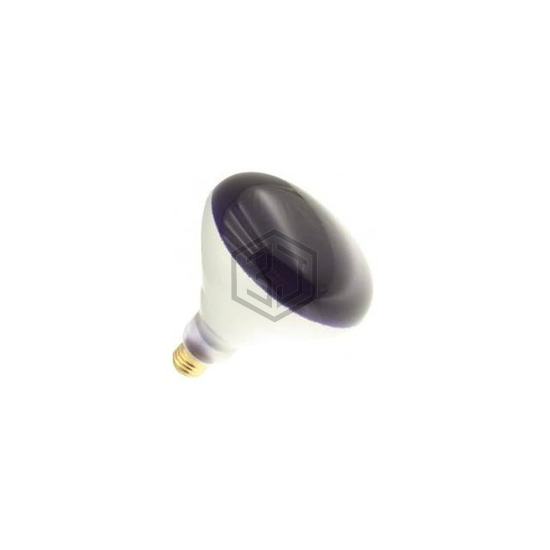 WX-EJCV-5 - Interlight - Lamps - Incandescents, Neons