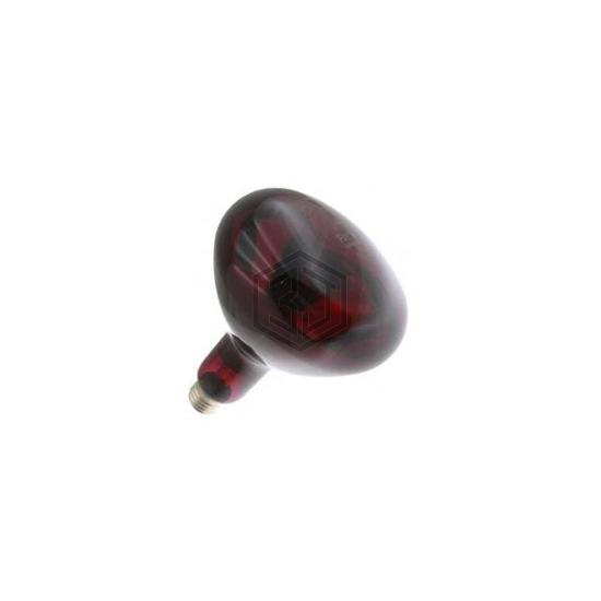 WX-EJYA-9 - Interlight - Lamps - Incandescents, Neons