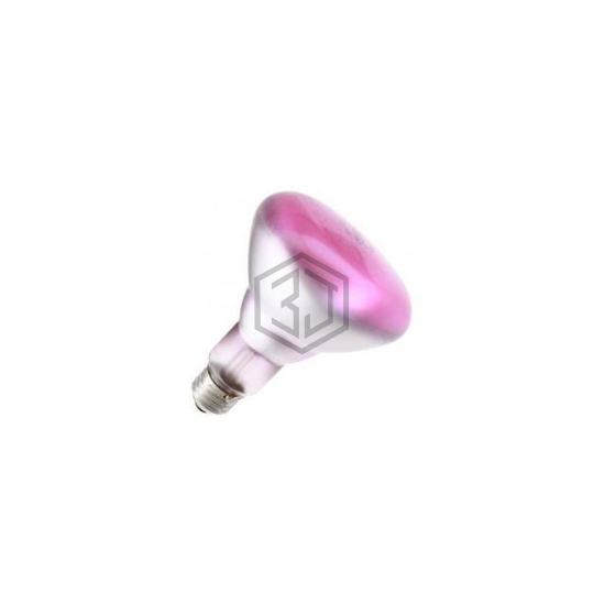 WX-EF79-2 - Interlight - Lamps - Incandescents, Neons