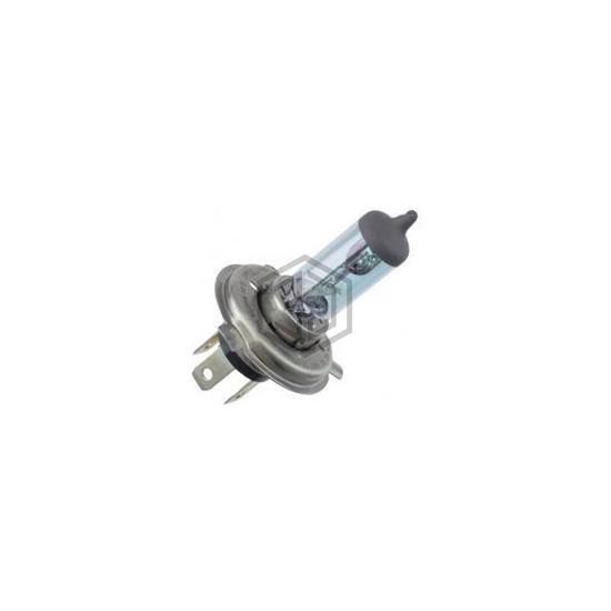 WX-EGV4-2 - Interlight - Lamps - Incandescents, Neons