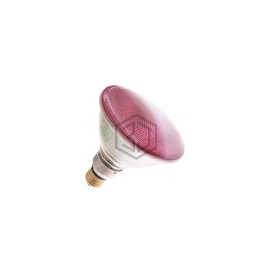 WX-ELYT-5 - Interlight - Lamps - Incandescents, Neons