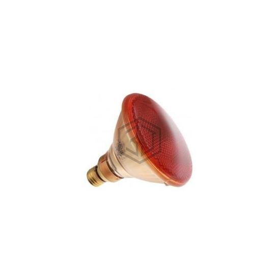 WX-EGWG-9 - Interlight - Lamps - Incandescents, Neons