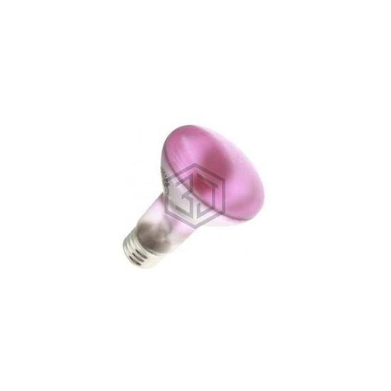 WX-ELVY-2 - Interlight - Lamps - Incandescents, Neons