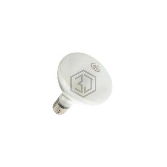 WX-EEXZ-7 - Interlight - Lamps - Incandescents, Neons