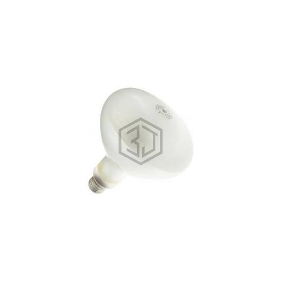 WX-EEC2-0 - Interlight - Lamps - Incandescents, Neons
