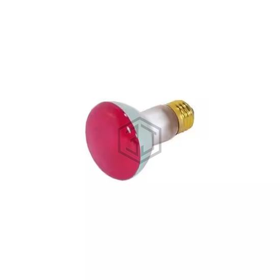 WW-60K7-7 - Interlight - Lamps - Incandescents, Neons