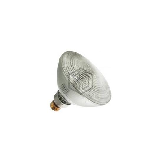 WX-EE7D-8 - Interlight - Lamps - Incandescents, Neons