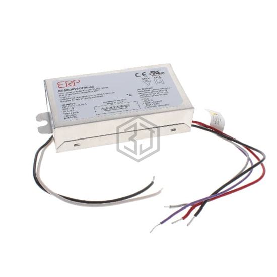 ESM030W-0700-42 - ERP Power, LLC - LED Drivers