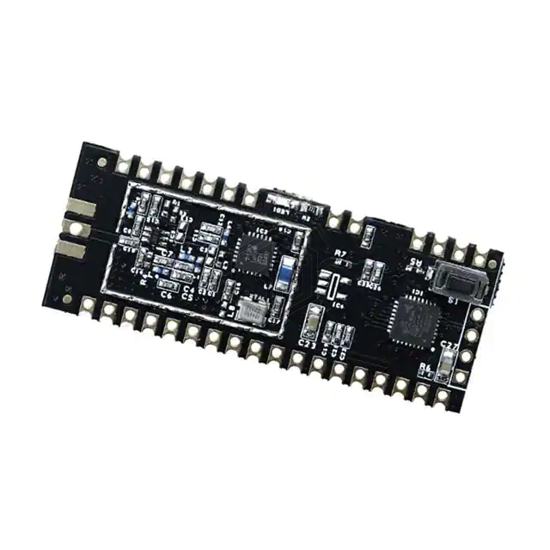 GAMMA62M-89S - RF Solutions - RF Transceiver Modules and Modems