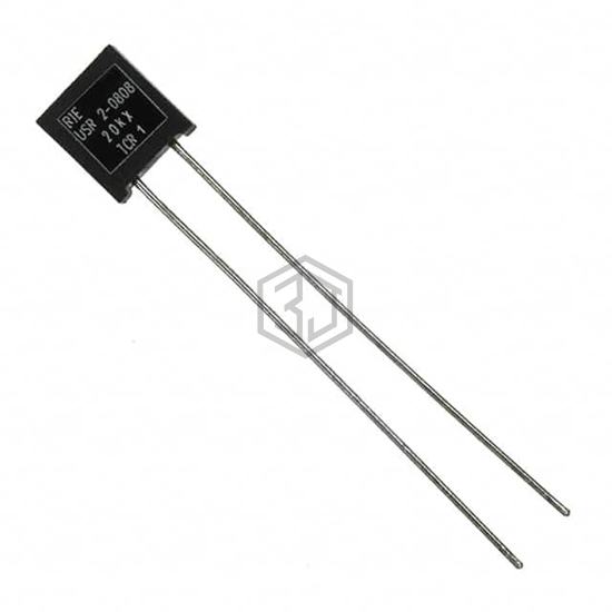USR2G-20KX1 - Riedon - Through Hole Resistors