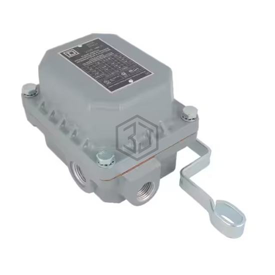 9036DW31 - Schneider Electric - Float, Level Sensors - Industrial