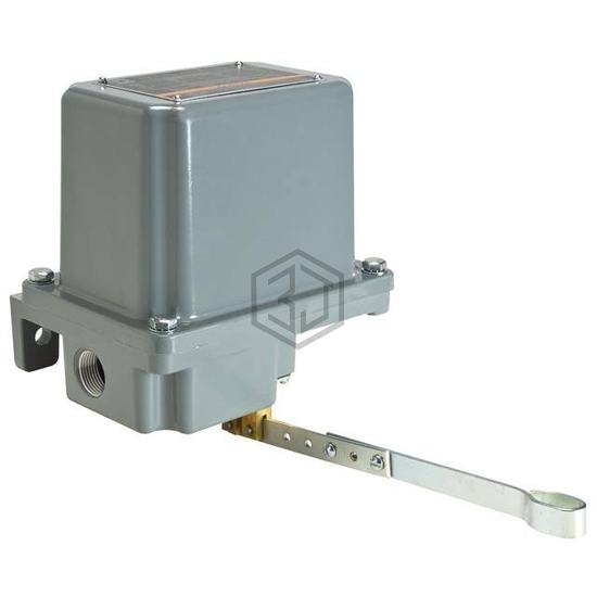 9036GR1 - Schneider Electric - Float, Level Sensors - Industrial