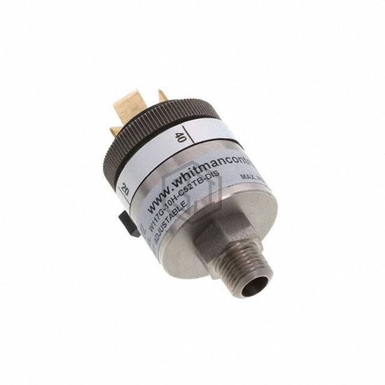 W117G-10H-C52TB-DIS - Whitman Controls, LLC - Pressure Sensors, Transducers - Industrial