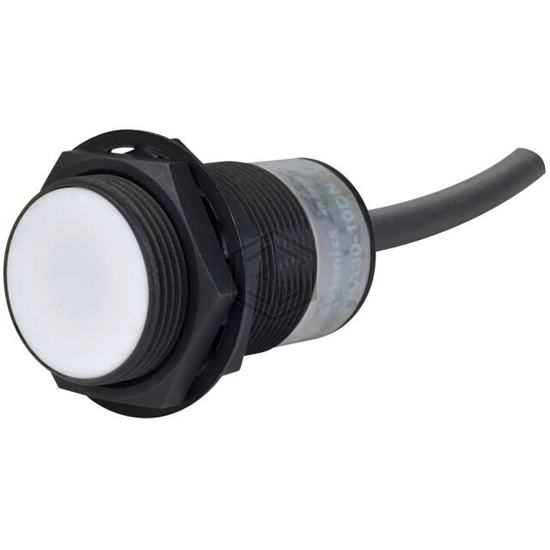 PRA30-10DP - Autonics - Proximity Sensors - Industrial