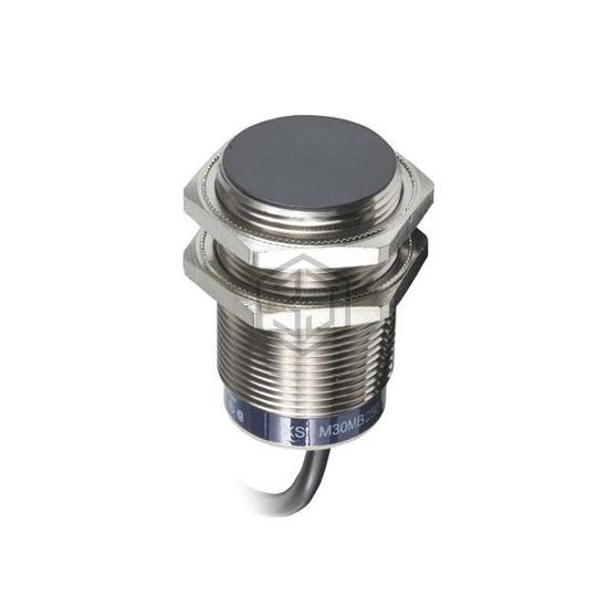 XS1M30MB250 - Schneider Electric - Proximity Sensors