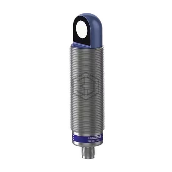 XXA30S1AM12 - Schneider Electric - Proximity Sensors
