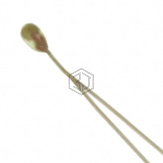 B57540G0303F000 - EPCOS - TDK Electronics - Temperature Sensors - NTC Thermistors