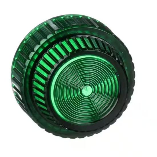 9001G31 - Schneider Electric - Accessories - Caps