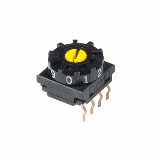 FR01SC10P-W-S - NKK Switches - DIP Switches