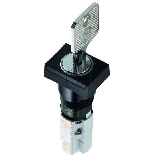1.15.108.631/0100 - RAFI USA - Keylock Switches
