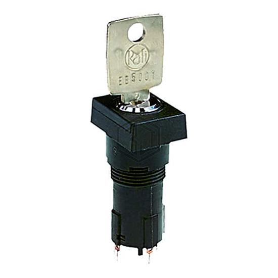 1.10119.1170000 - RAFI USA - Keylock Switches