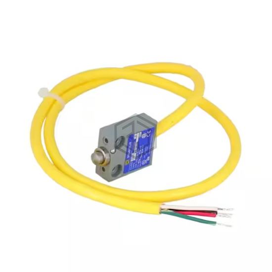 9007MS01S0100 - Schneider Electric - Limit Switches