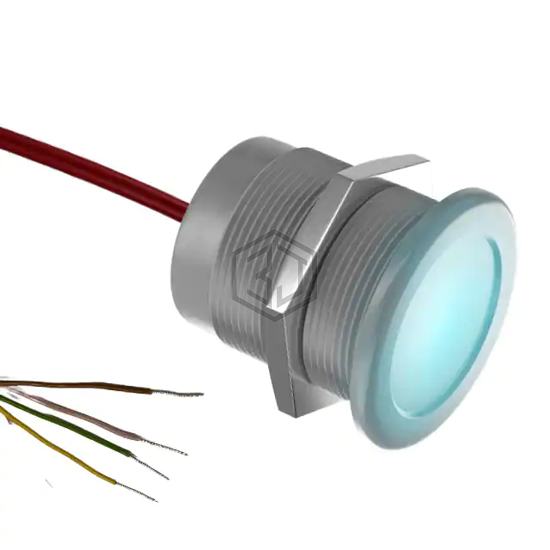 BPSI2AAW824 - Everswitch - Pushbutton Switches