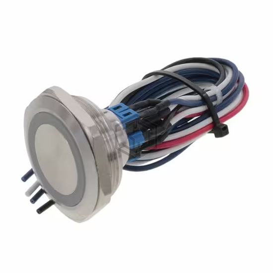 PV10FWV0SS-311 - E-Switch - Pushbutton Switches