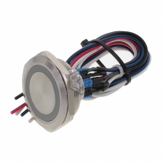 PV10FWU0SS-311 - E-Switch - Pushbutton Switches
