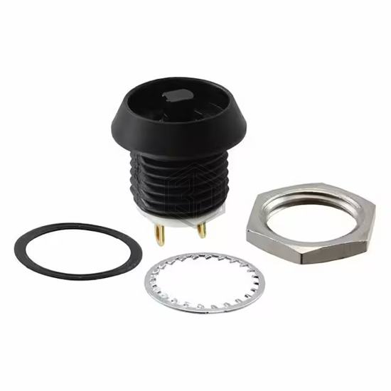 AP2N000TZBE - C&K - Pushbutton Switches