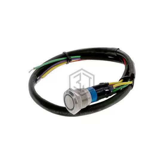 AV1920RG12T5Q04 - TE Connectivity ALCOSWITCH Switches - Pushbutton Switches