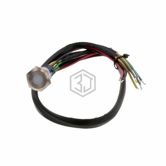 AV1920DG12T5Q04 - TE Connectivity ALCOSWITCH Switches - Pushbutton Switches