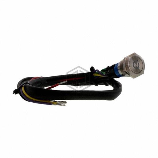 AV1920PG12T5Q04 - TE Connectivity ALCOSWITCH Switches - Pushbutton Switches