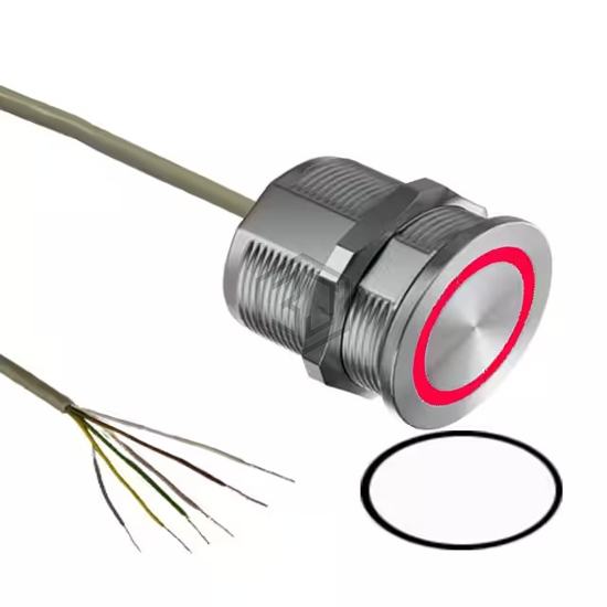 SBR11ABC8241N - Everswitch - Pushbutton Switches