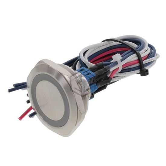 PV10FWV0SS-341 - E-Switch - Pushbutton Switches