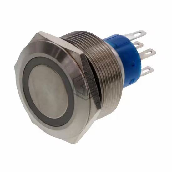 AV2520E312Q04 - TE Connectivity ALCOSWITCH Switches - Pushbutton Switches