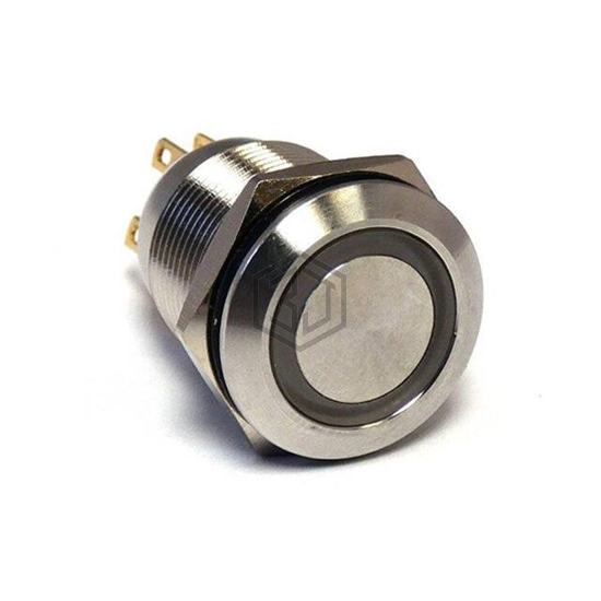 SW19STM253 - Linrose Electronics, Inc. - Pushbutton Switches