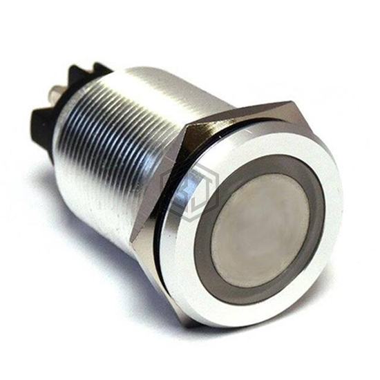 SW19SSM253 - Linrose Electronics, Inc. - Pushbutton Switches
