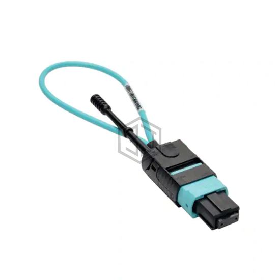 N844-LOOP-12F - Tripp Lite - Equipment - Specialty