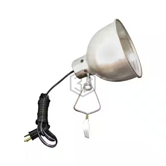 B231202 - TPI - Flashlights