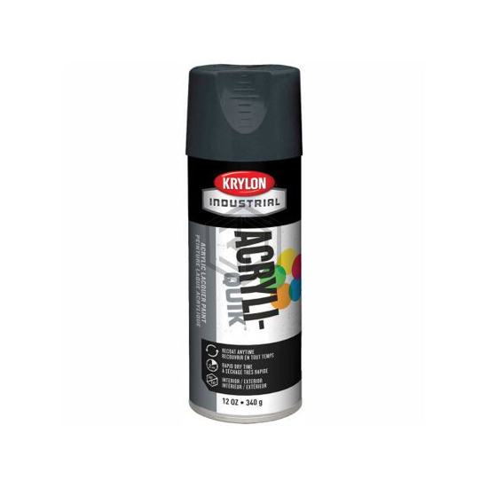 B37840 - Krylon - Paint Supplies