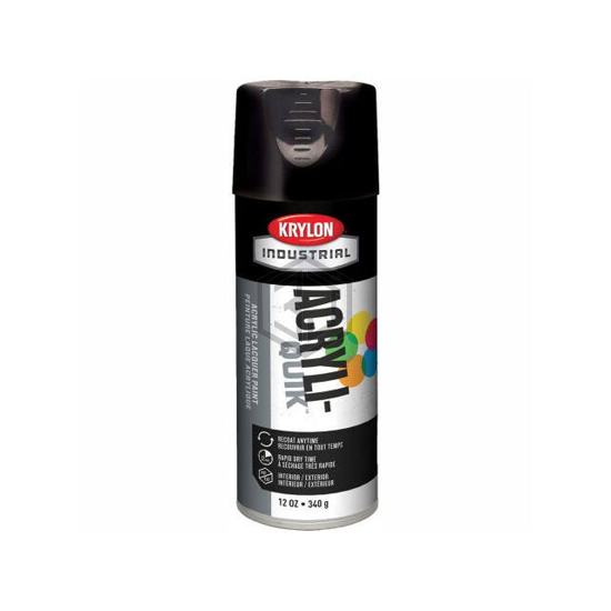 B37838 - Krylon - Paint Supplies