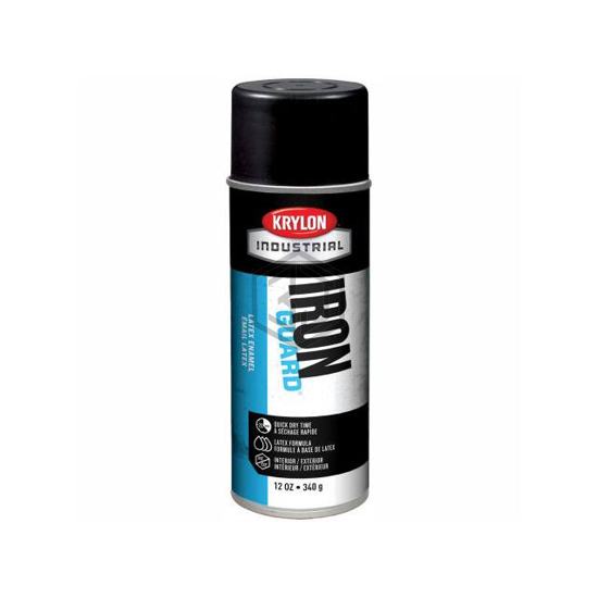 B37660 - Krylon - Paint Supplies