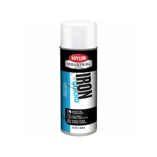 B37691 - Krylon - Paint Supplies