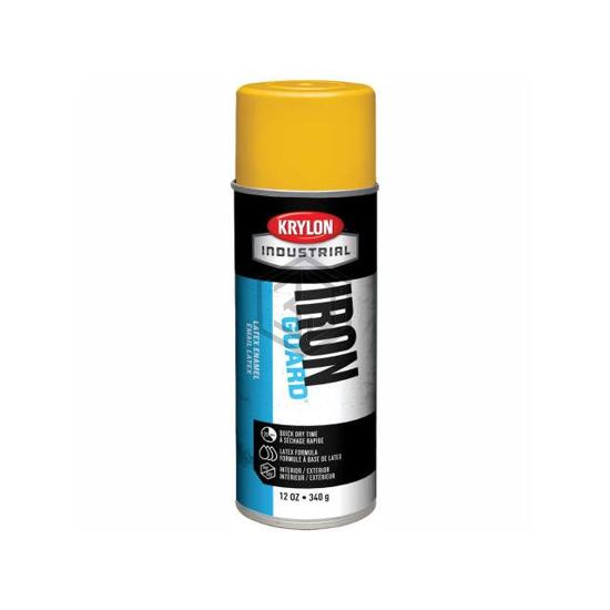 B37686 - Krylon - Paint Supplies