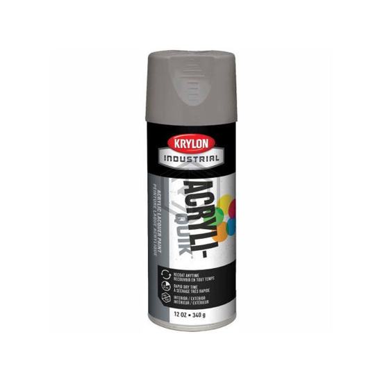 B37841 - Krylon - Paint Supplies