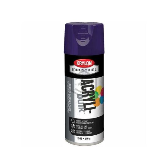 B37862 - Krylon - Paint Supplies